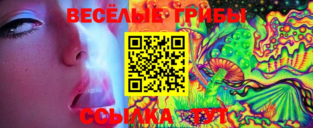 Псилоцибиновые грибы MAGIC MUSHROOMS Волжский
