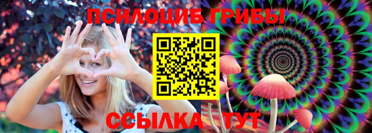 Волжский  Галлюциногенные грибы MAGIC MUSHROOMS  Галлюциногенные грибы GOLDEN TEACHER  Вход с VPN 